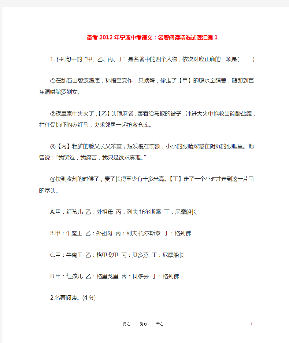 【备考】浙江省宁波中考语文 名著阅读精选试题汇编1