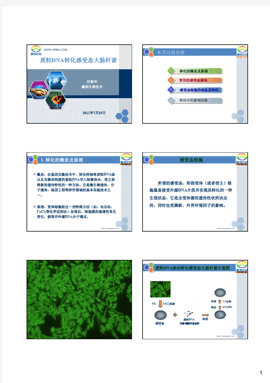 各种感受态细胞