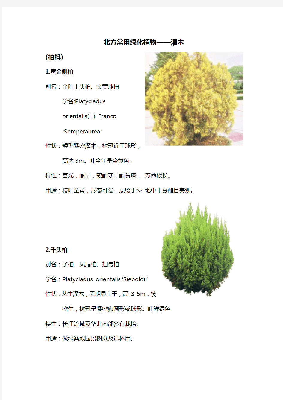 北方园林绿化常用植物~灌木