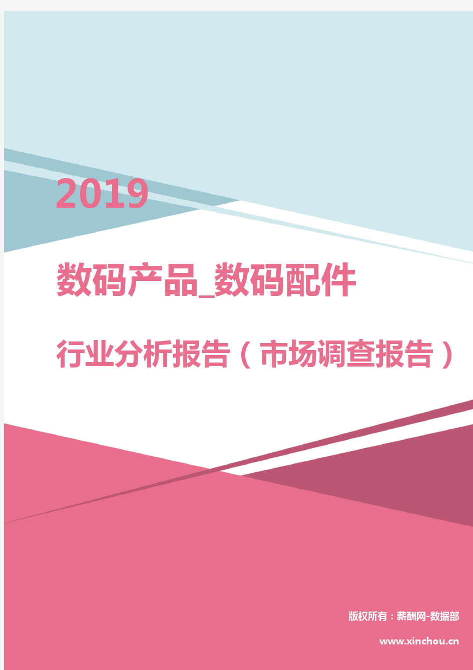 2019年数码产品_数码配件行业分析报告(市场调查报告)