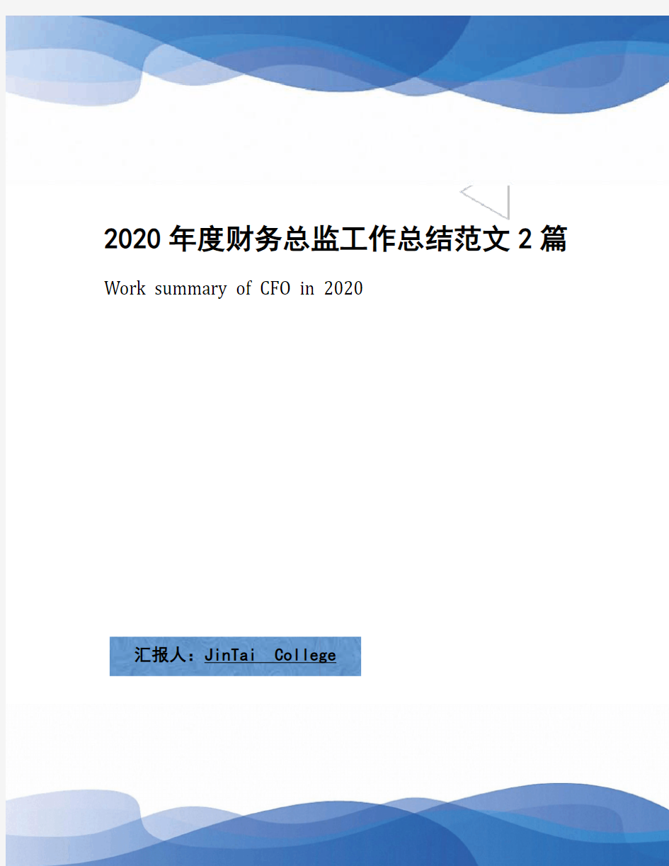 2020年度财务总监工作总结范文2篇