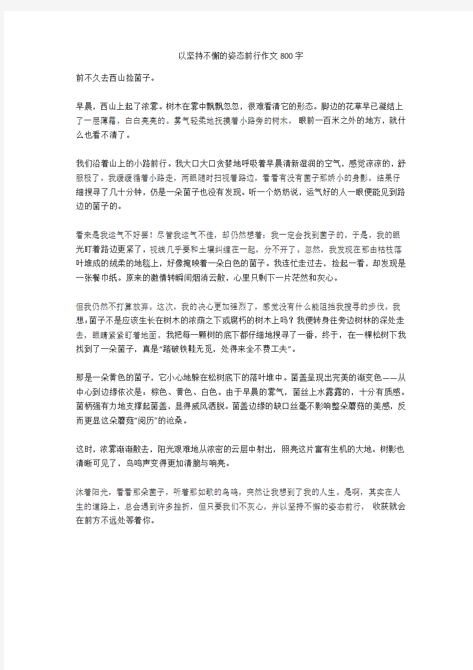 以坚持不懈的姿态前行作文800字高品质版