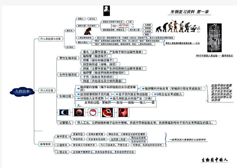 (完整版)人教版七年级生物下册复习资料-思维导图