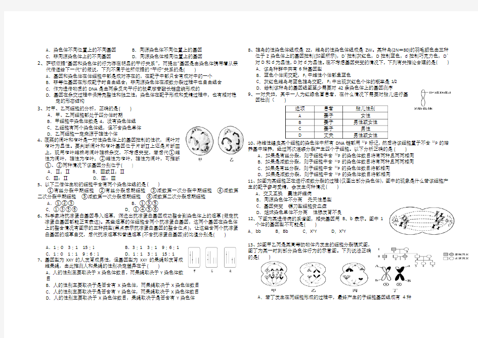 高中生物必修二第二单元测试题