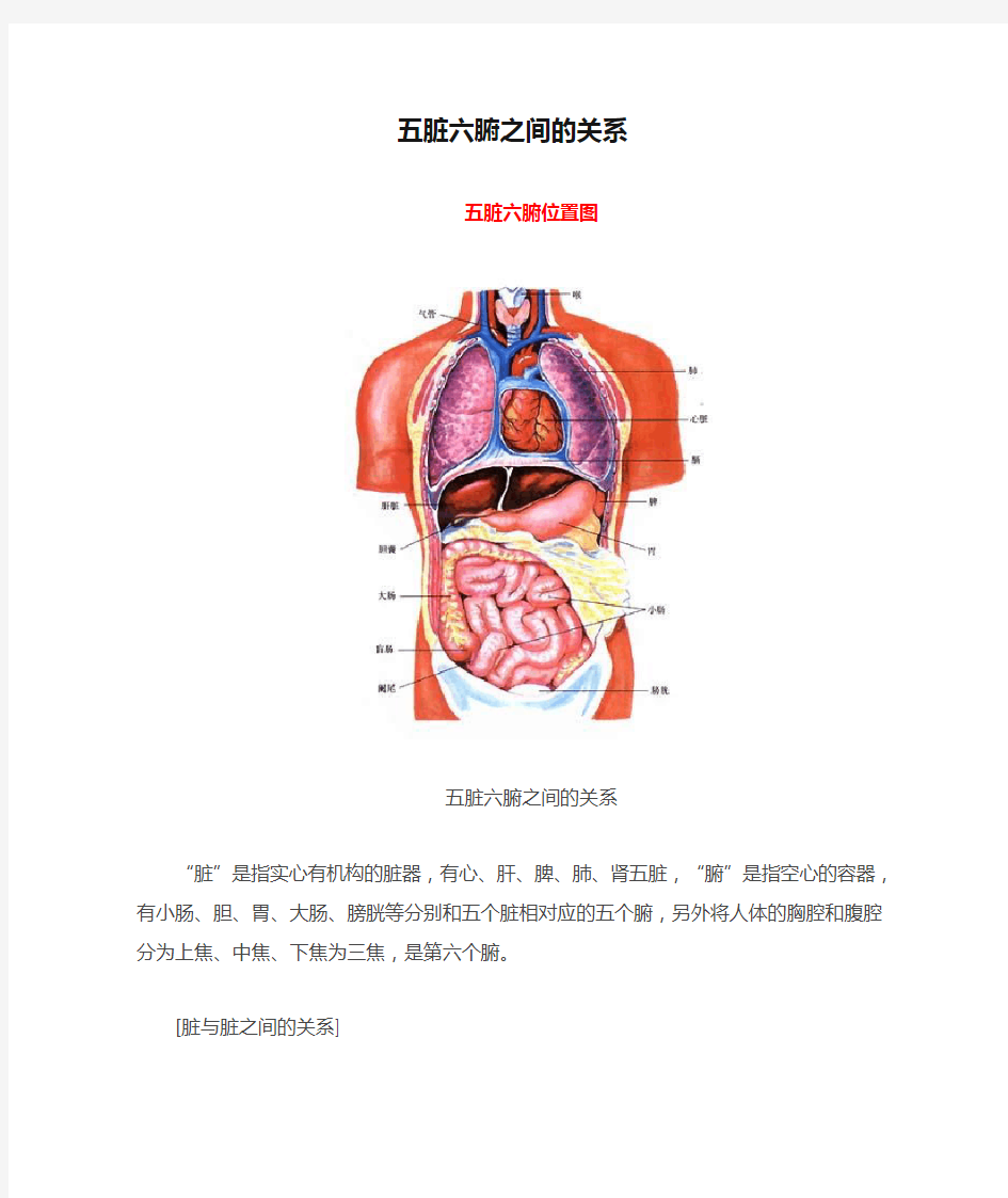 五脏六腑之间的关系