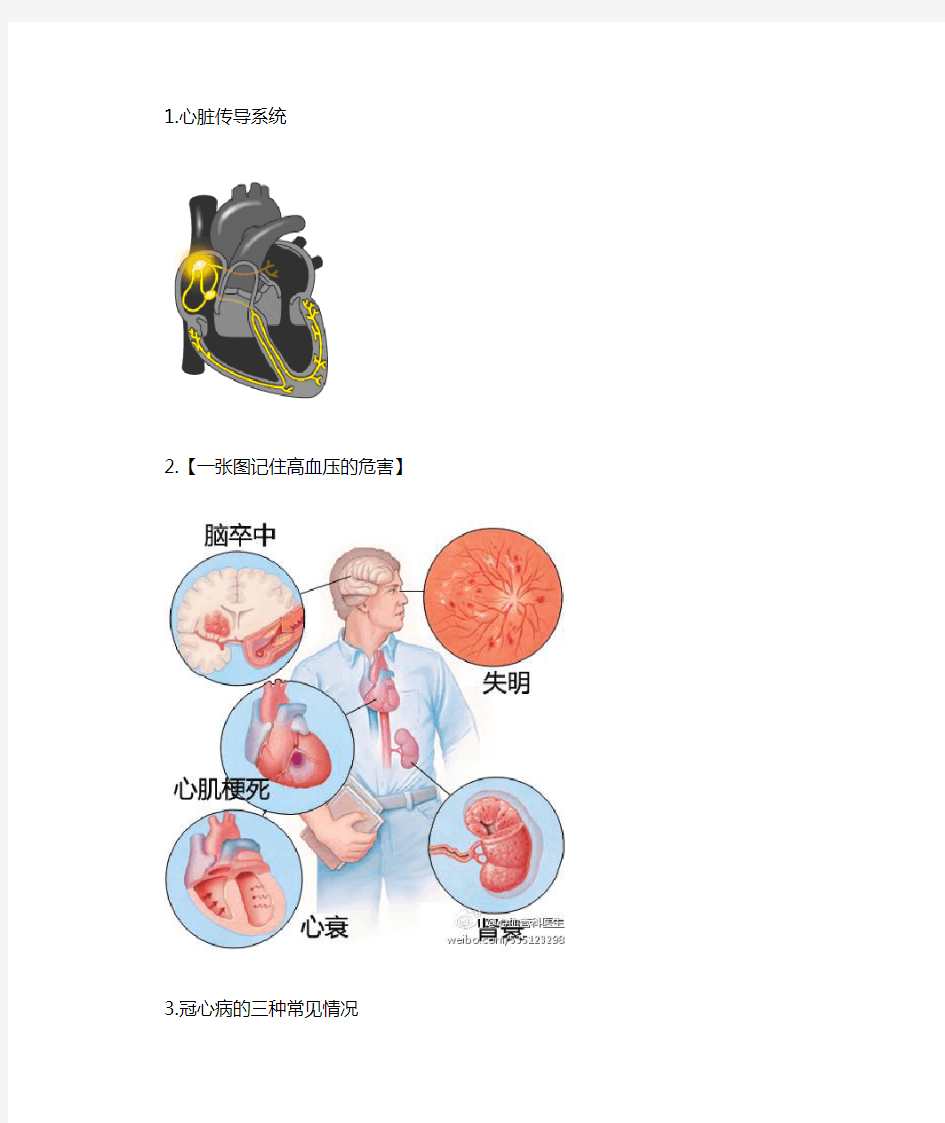 心血管系统详解知识点(图文)