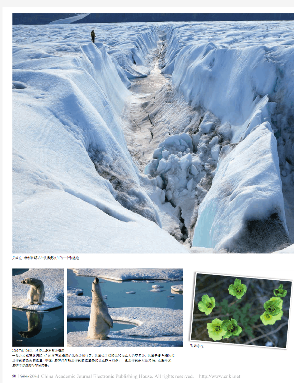 在北极见证冰川消融_绿色和平_的北极项目