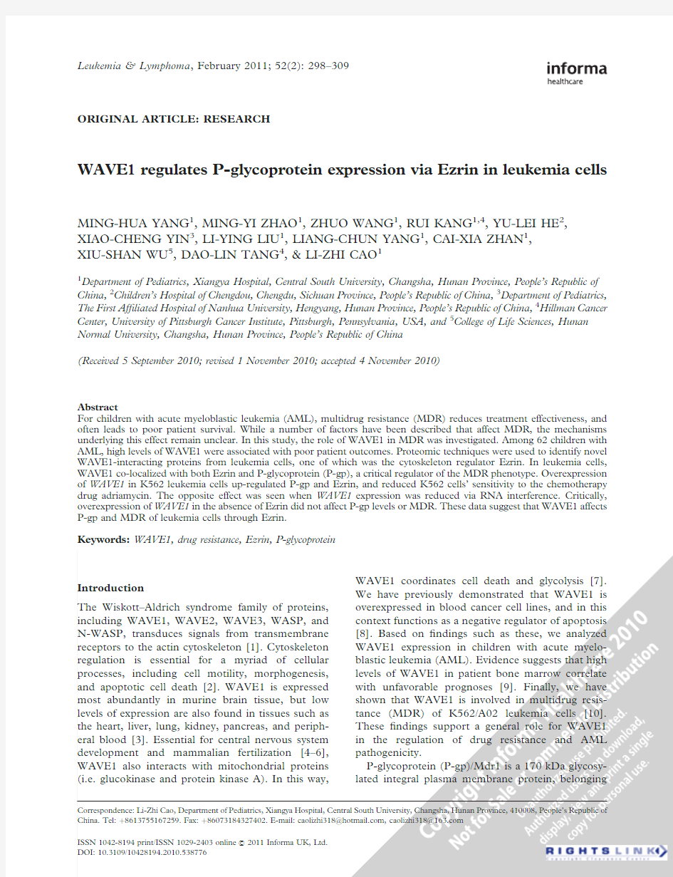WAVE1 regulates P-glycoprotein expression via Ezrin in leukemia cells