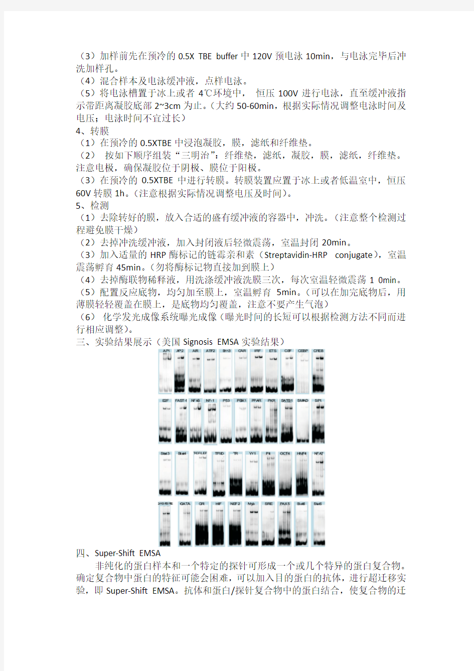 (完整版)凝胶迁移实验(EMSA)实验方法