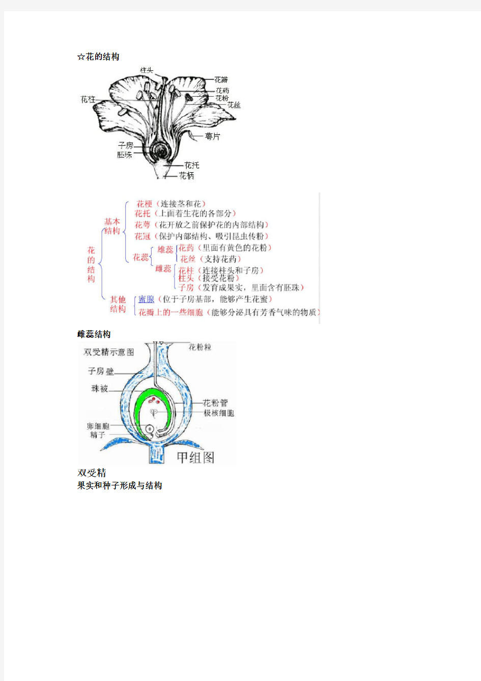 高中生物必修二第一章知识点总结 