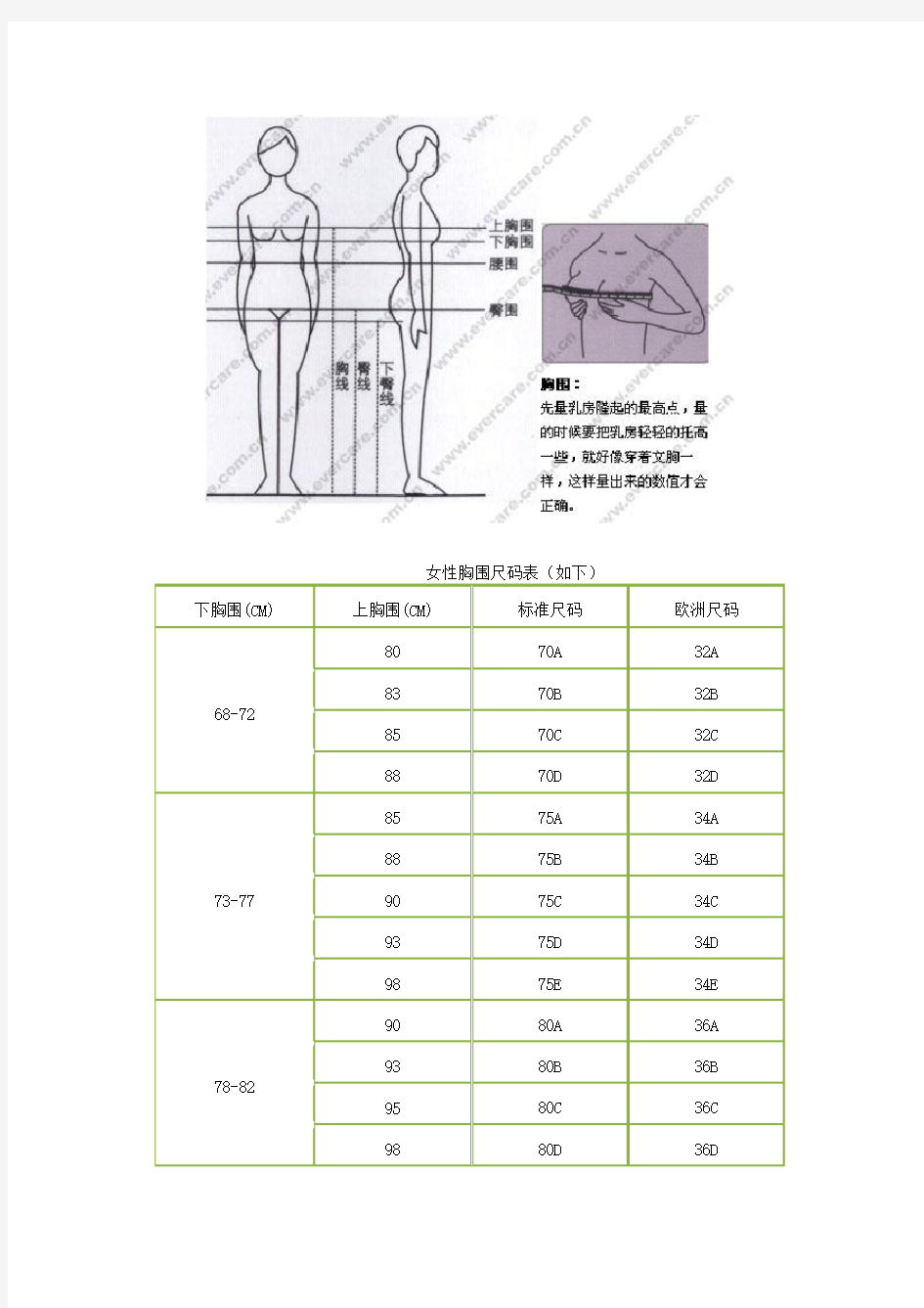 女性胸围尺码表