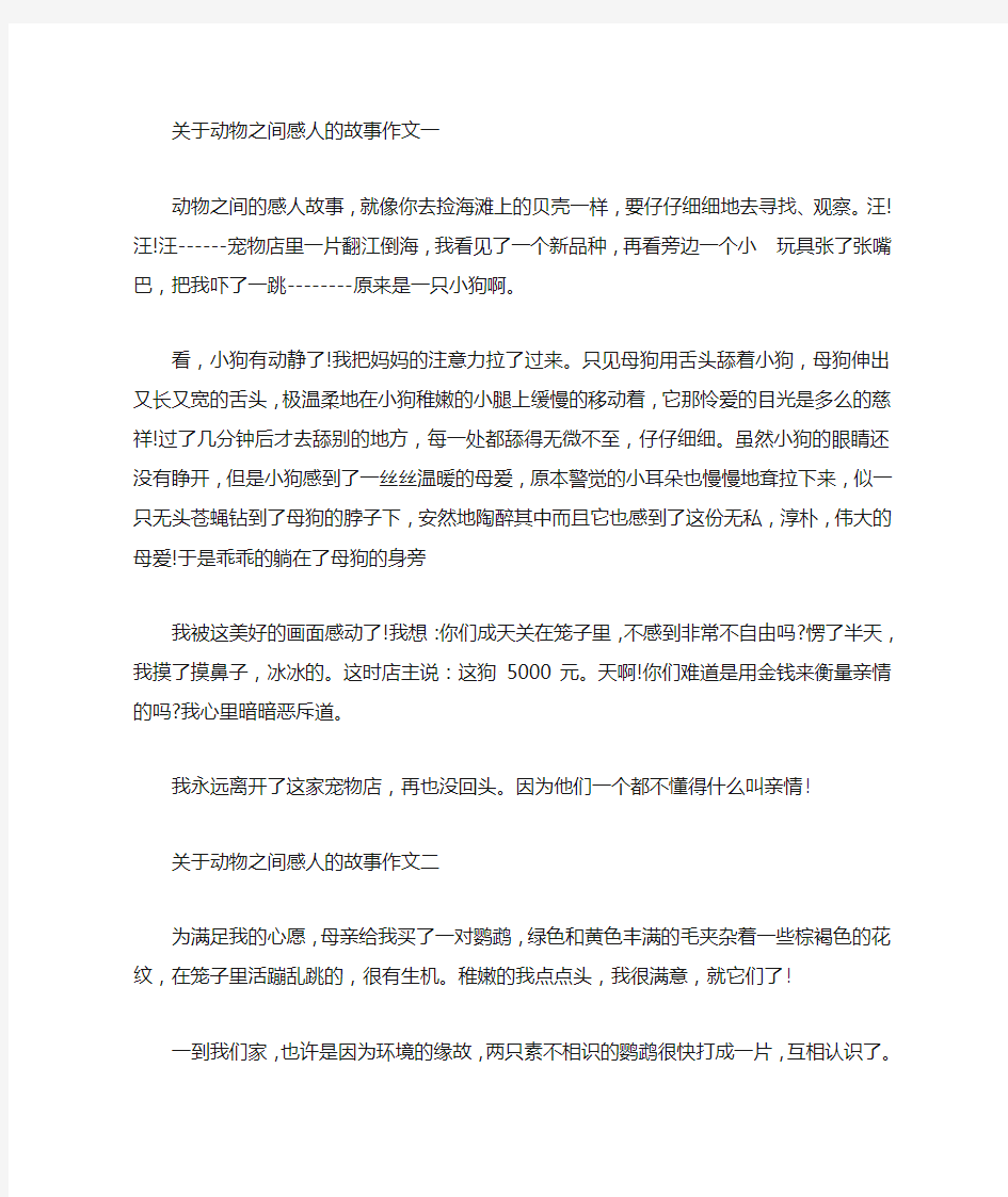 关于动物之间感人的故事作文