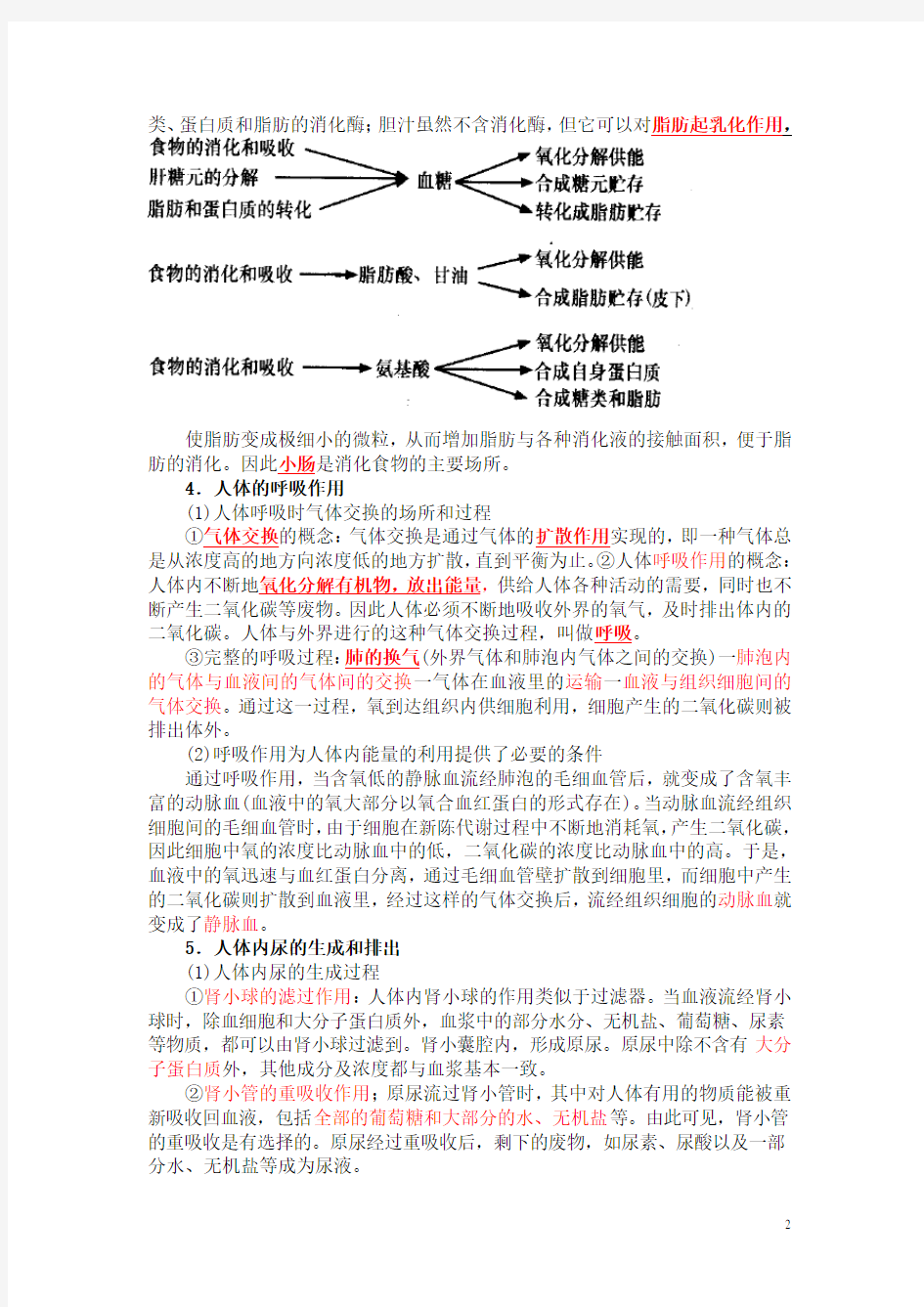 人体的新陈代谢_知识点