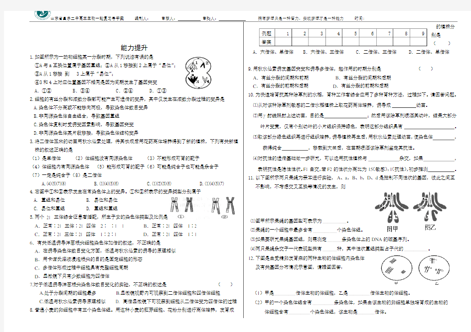 高三生物一轮复习导学案：染色体变异