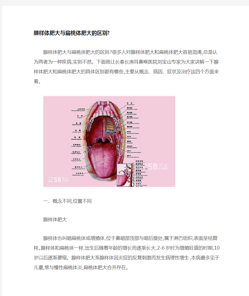 腺样体肥大与扁桃体肥大的区别