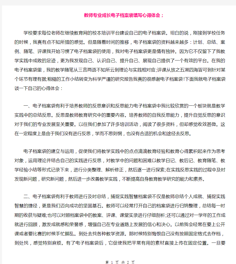 教师专业成长电子档案袋填写心得体会