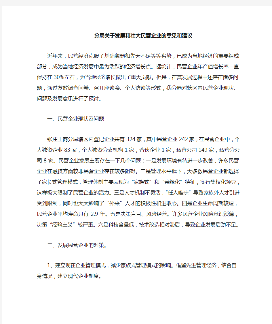 关于发展和壮大民营企业的意见和建议