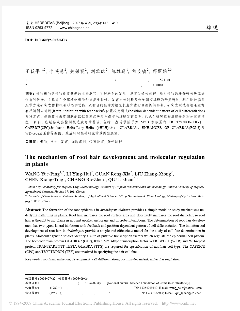 植物根毛生长发育及分子调控机理