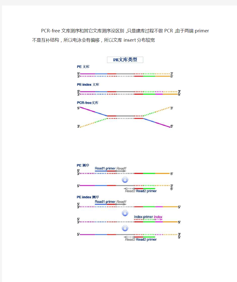 PCR-free测序