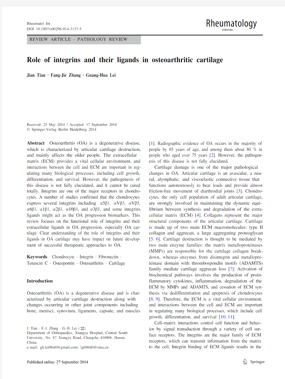 integrin review 整合素受体信号通路综述