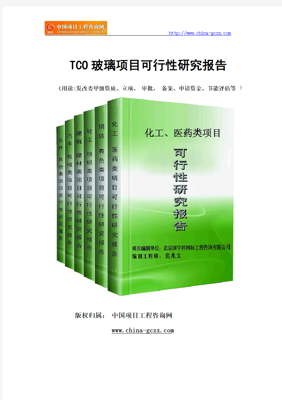 TCO玻璃项目可行性研究报告范文格式(专业经典案例)