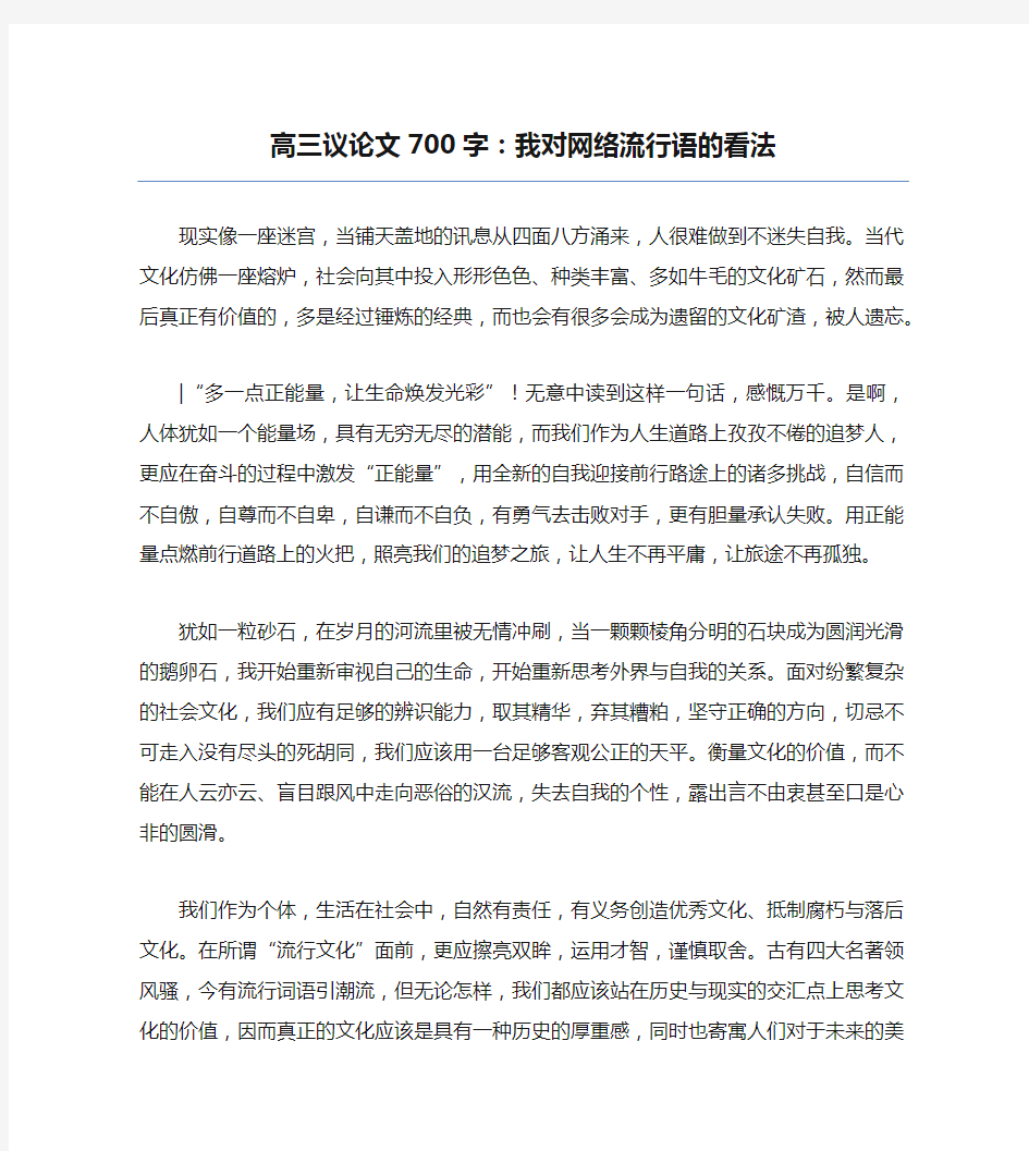 高三议论文700字：我对网络流行语的看法