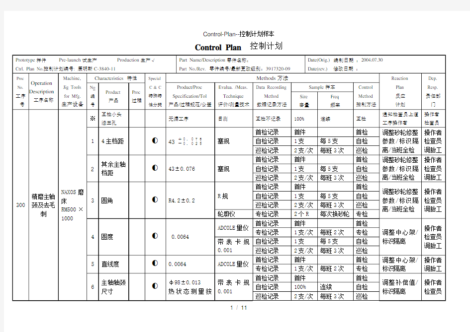 Control-Plan--控制计划样本