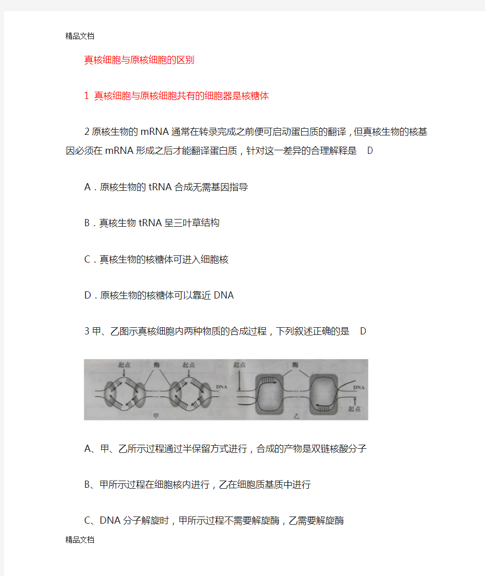 真核细胞与原核细胞转录翻译的区别复习过程