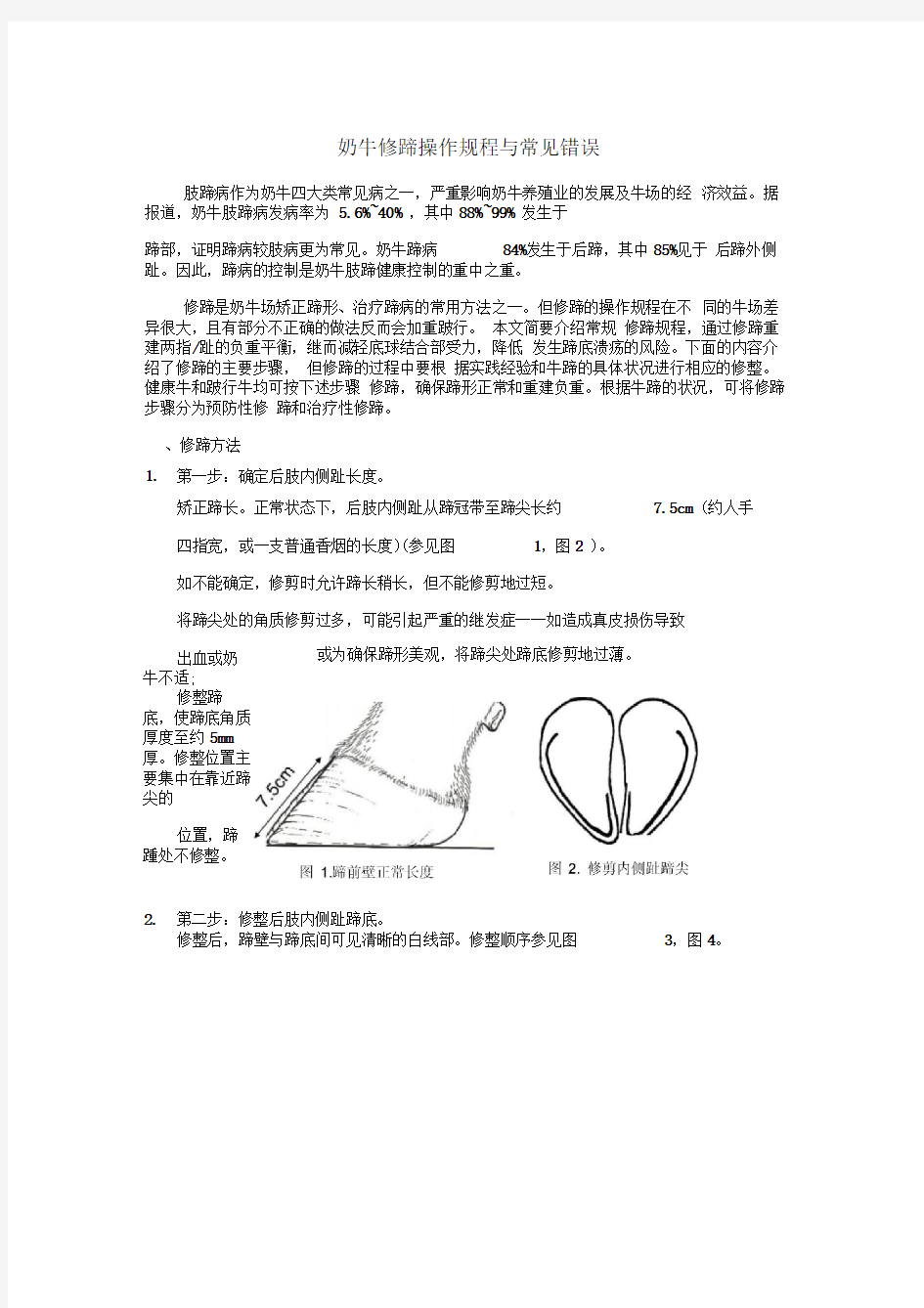 奶牛修蹄操作规程与常见错误