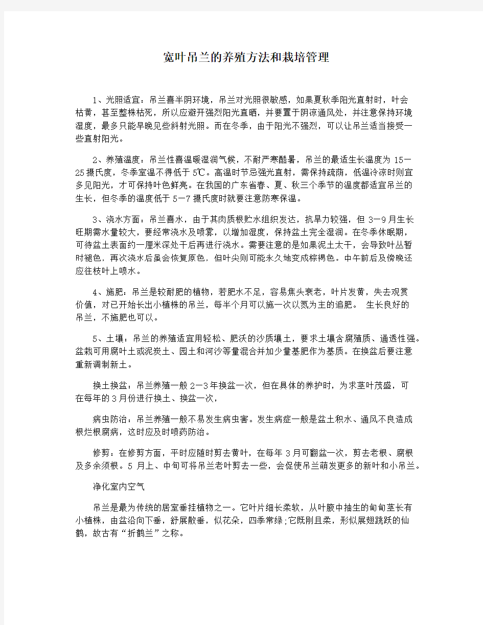 宽叶吊兰的养殖方法和栽培管理