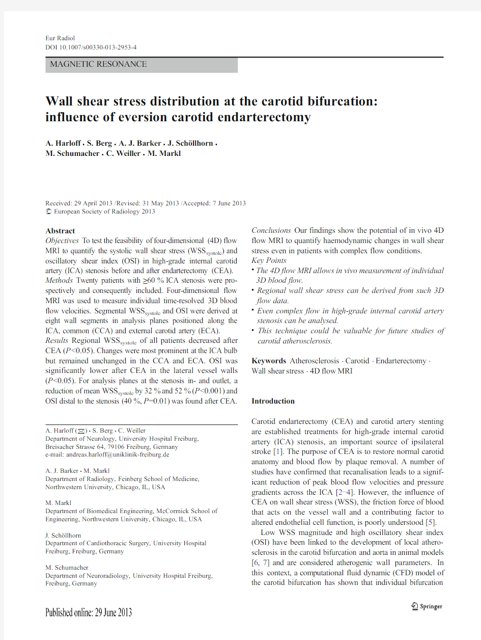 Wall shear stress distribution at the carotid bifurcation