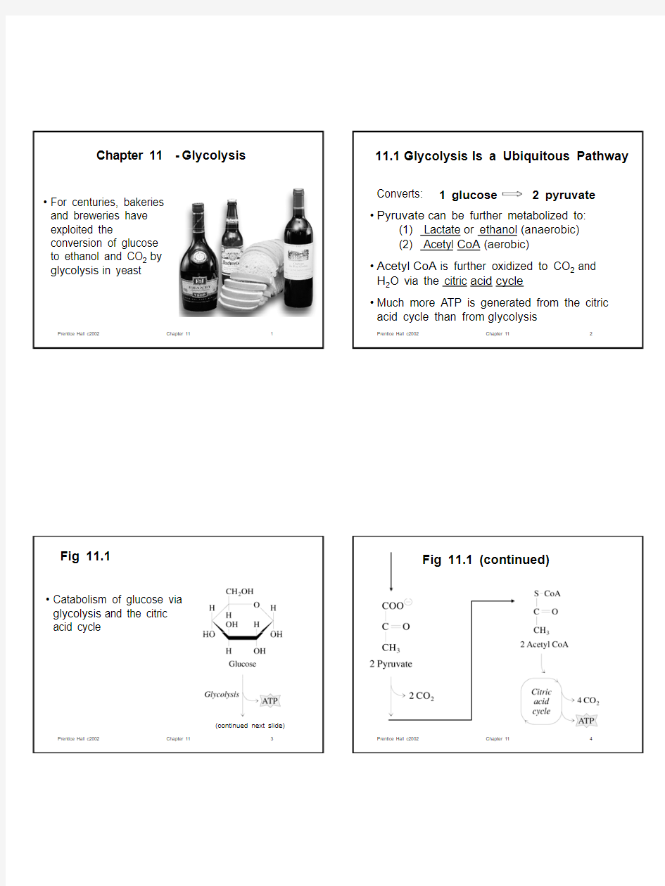 Chapter 11 - Glycolysis 111 Glycolysis Is a Ubiquitous