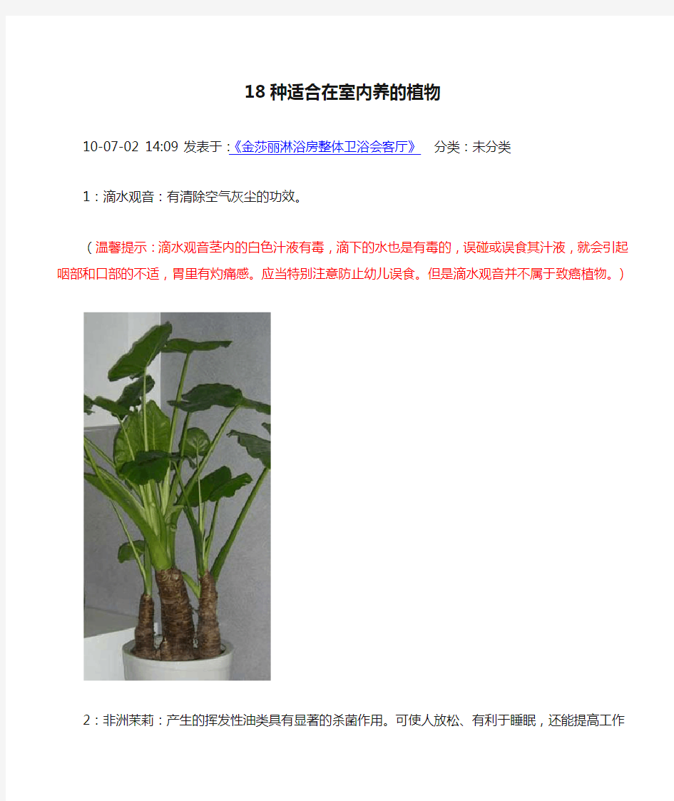 18种适合在室内养的植物