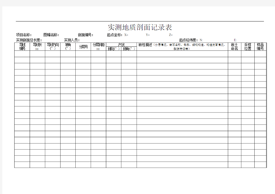 12实测剖面记录表