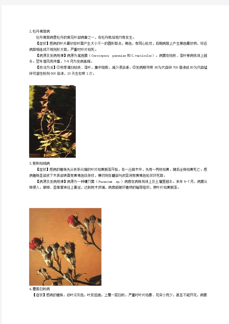 图文·40种花卉病虫害防治