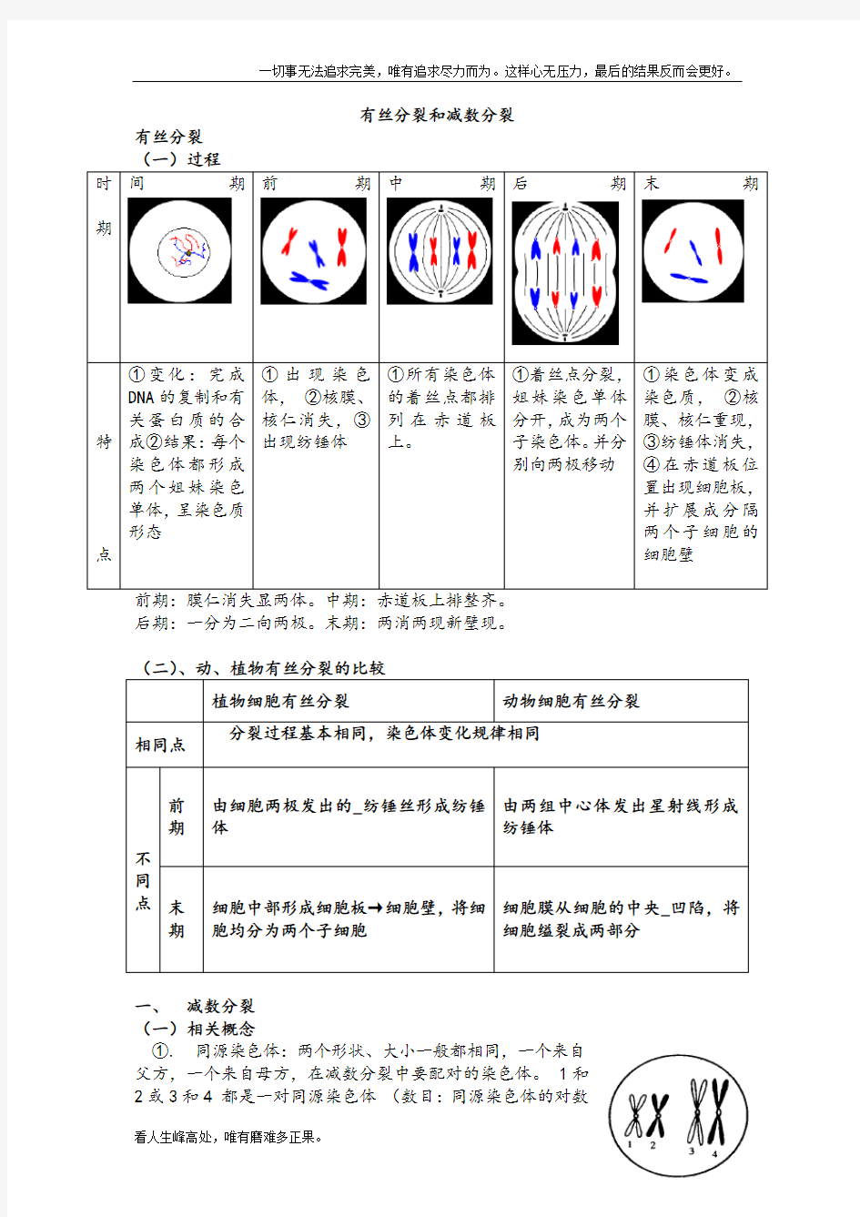 (新)高中生物必修二减数分裂详尽分析