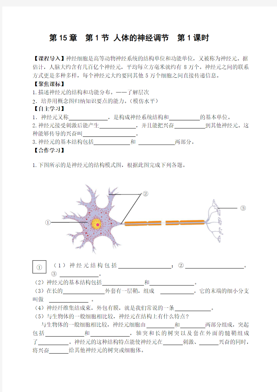 生物学科八年级上册人体的神经调节学案资料