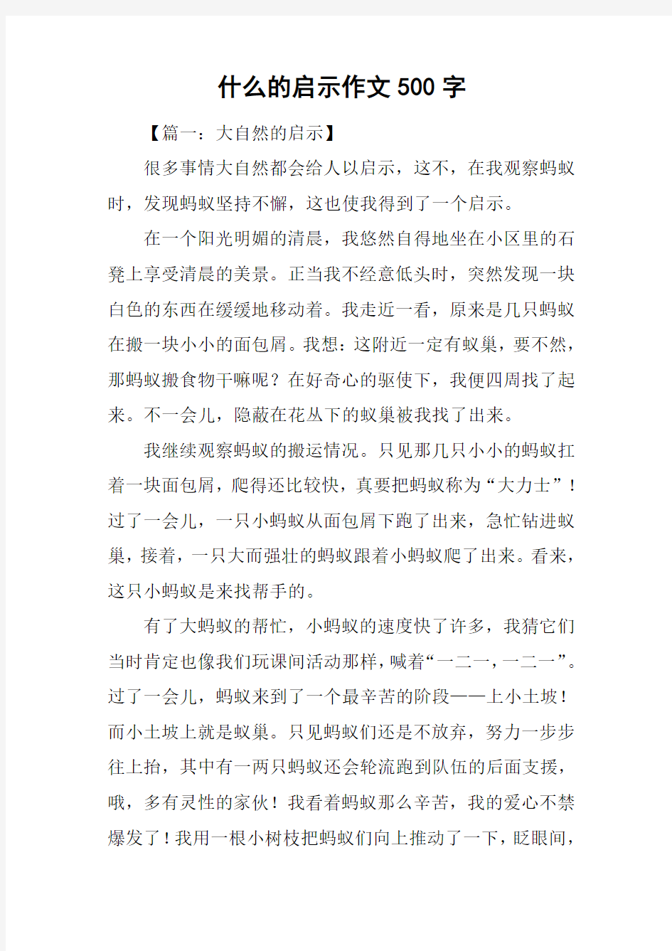 什么的启示作文500字