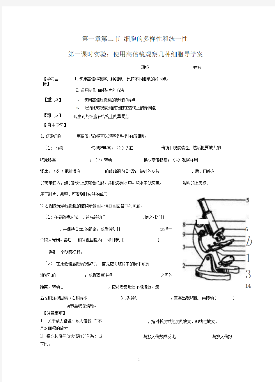 使用显微镜观察几种细胞_导学案