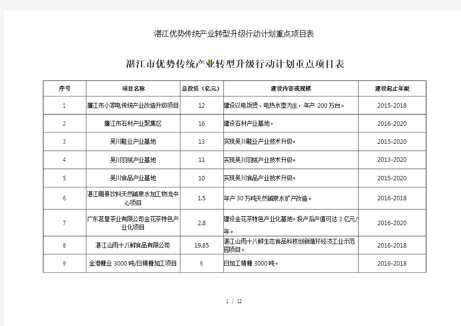 湛江优势传统产业转型升级行动计划重点项目表