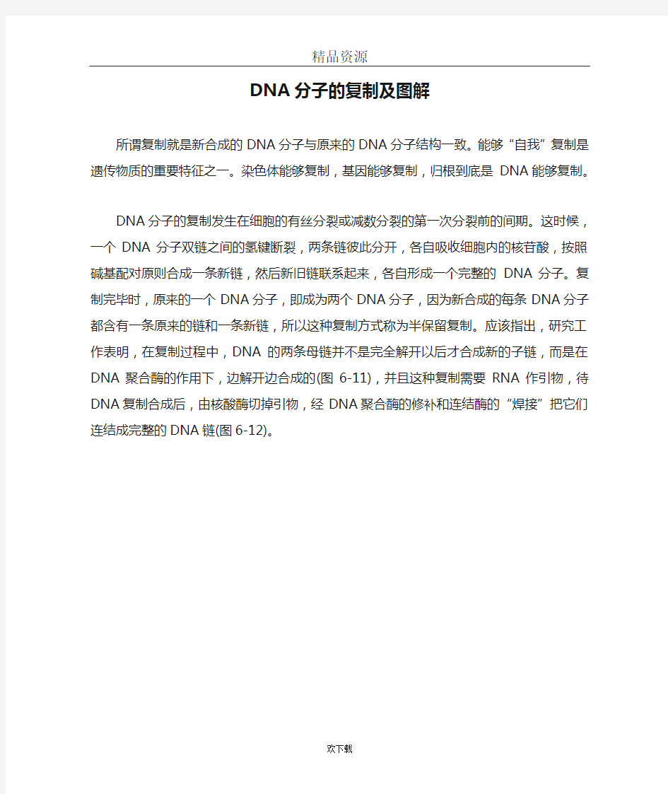 DNA分子的复制及图解