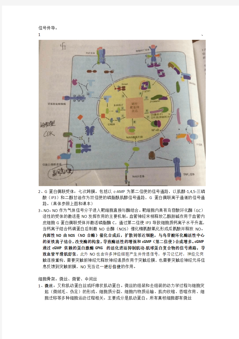 细胞生物学整理