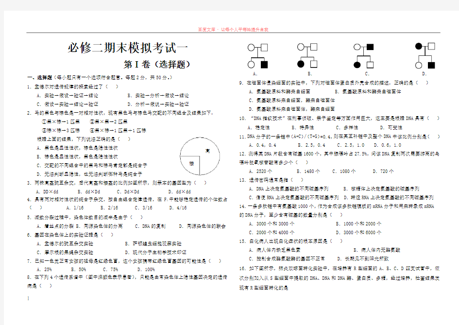 高二生物必修二期末模拟试题一及答案