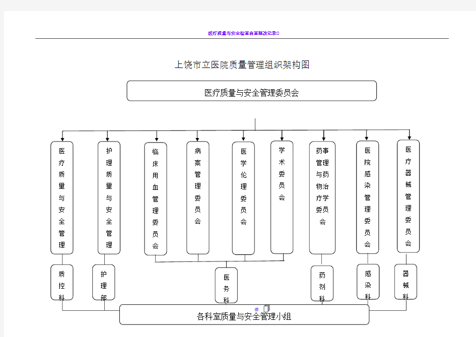 医疗质量管理与安全管理组织架构图