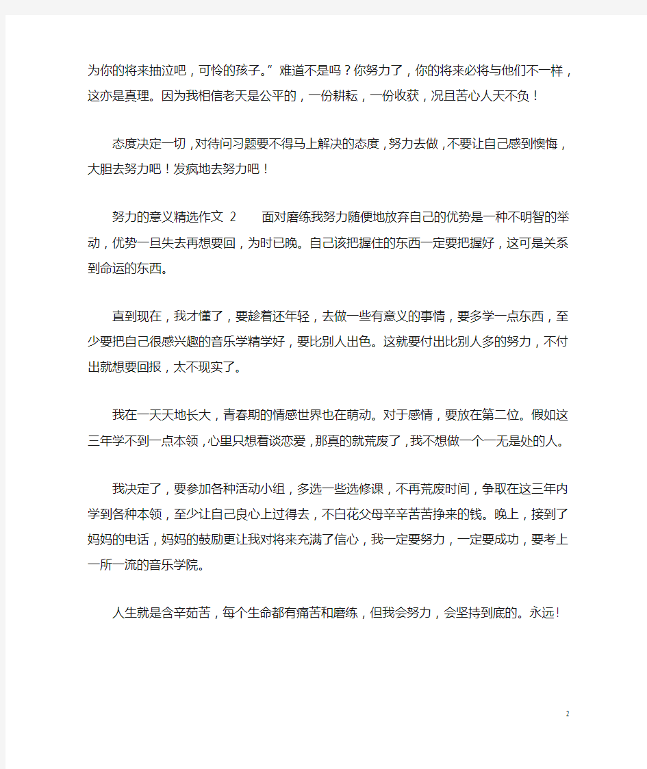 努力的意义精选作文