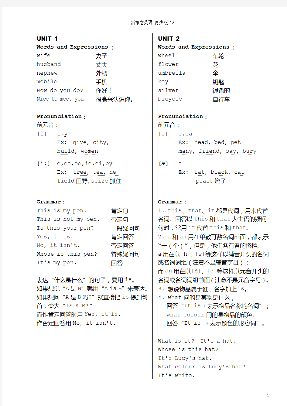 新概念英语青少版1A-词汇语法知识要点