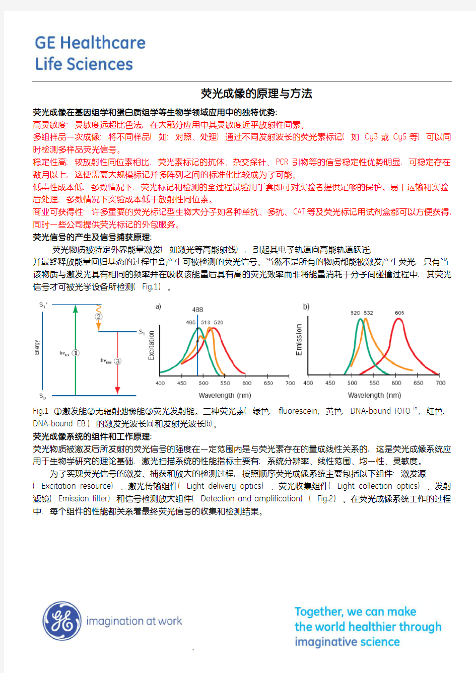 荧光成像的原理和方法