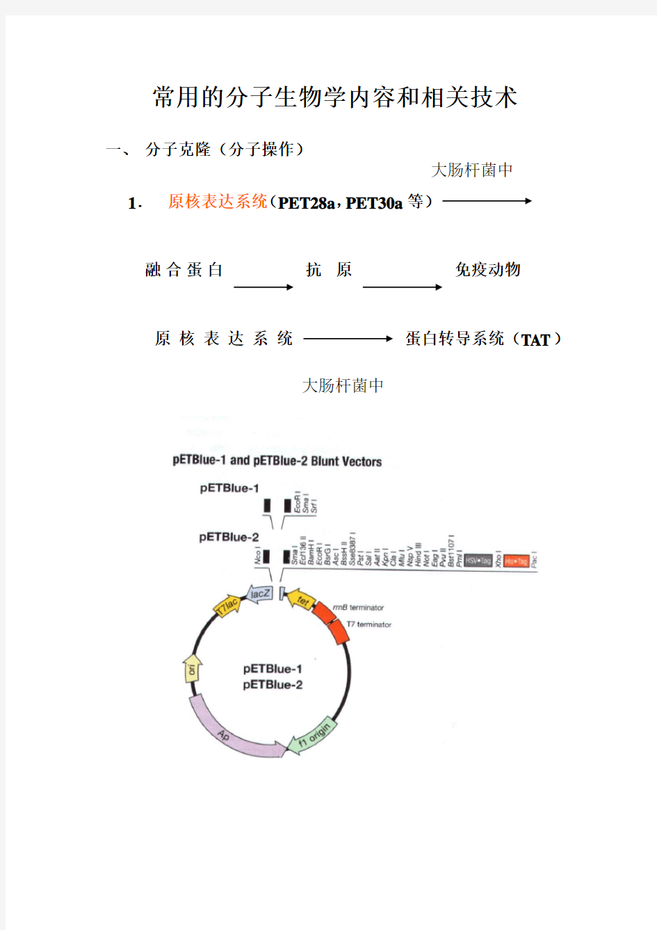 1常用的分子生物学内容和相关技术