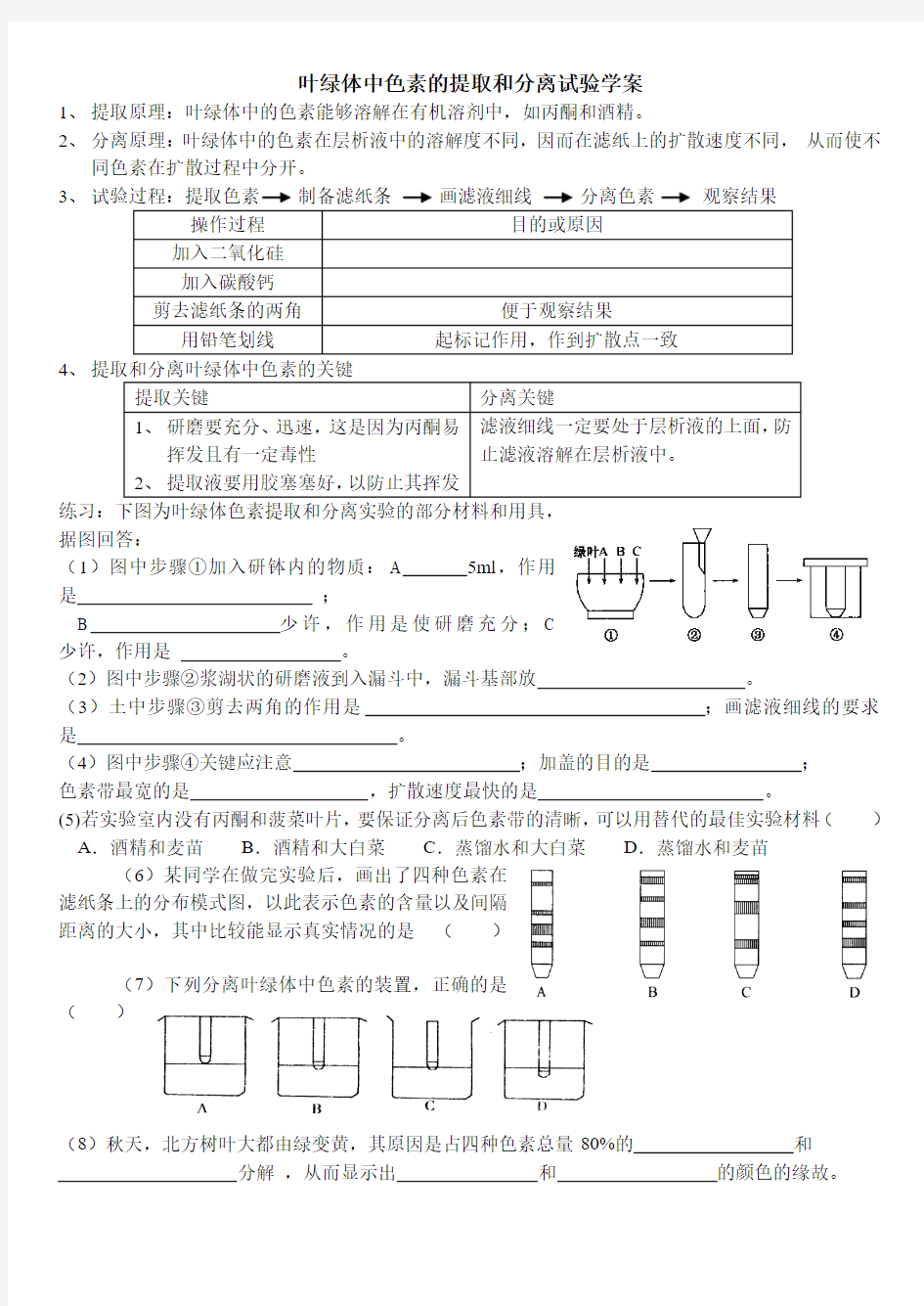 色素的提取