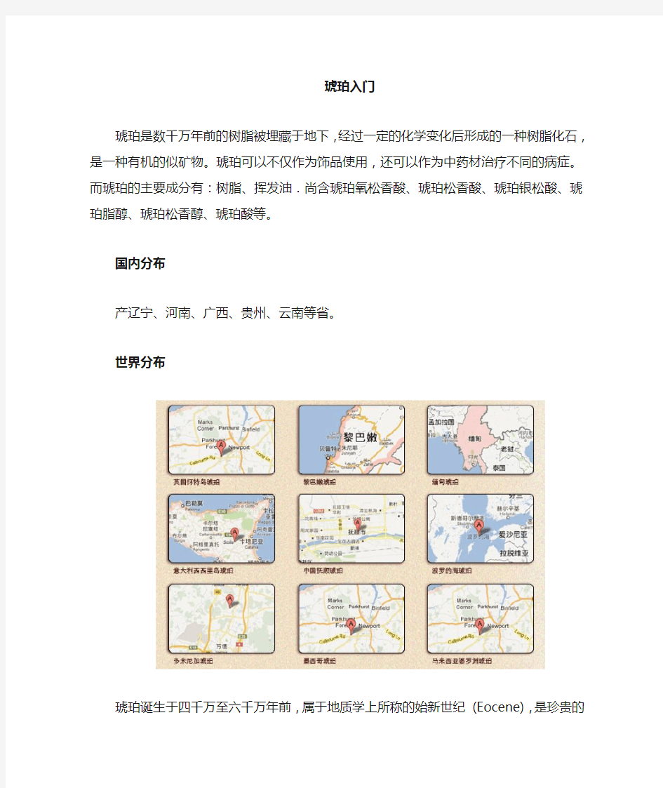 琥珀基础知识(上)